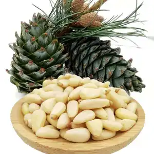 Kacang Pinus Grosir Biji Pinus Organik dengan Cangkang 100% Kacang Pinus Mentah Bersih