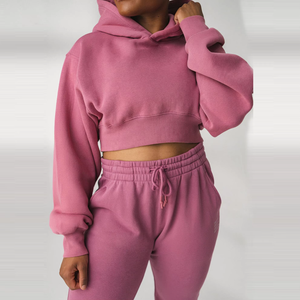 Sweat à capuche brodé personnalisé OEM Color Block Streetwear Pull en polaire de sport de haute qualité 100% coton Sweat à capuche surdimensionné pour femmes - Product Image 2