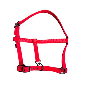 Licol de cheval en nylon réglable et durable avec rembourrage doux |   Confortable |   Boucle en laiton |   Marque OEM/ODM |   Couleurs et tailles personnalisées disponibles - Product Image 4