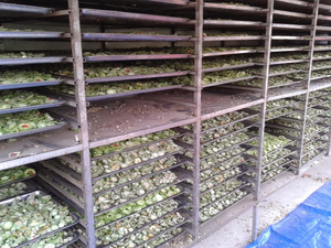 2024จากบลูโลทัสแตงขมอบแห้ง - Product Image 6