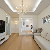 Villa modulaire en acier léger, décoration complète de la maison, maison intégrée mobile, exportation exclusive