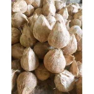 Cocos secos orgánicos: semidescascarillados Cocos, frutas tropicales del proveedor vietnamita, cocos secos de alta calidad - Product Image 4