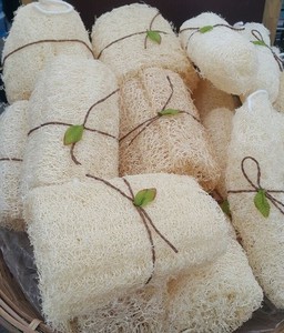 ใยบวบธรรมชาติใช้สำหรับล้างและตกแต่งในราคาต่ำ - Product Image 2