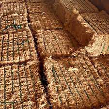 Fibra de cáscara de coco a la venta - Product Image 2