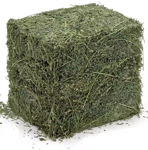 Heno de Alfalfa 100% Puro de Primera Calidad para Alimentación de Cerdos, Ganado y Caballos, Origen Francia, 24 Meses de Duración, Empacado en Bolsa - Product Image 2