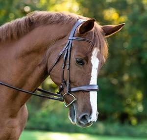 Brida ergonómica - Product Image 6