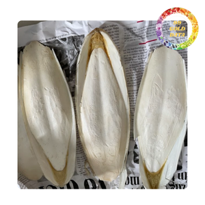 Hueso de sepia natural de alta calidad | Fuente de calcio para reptiles, caracoles y mascotas acuáticas - Product Image 5