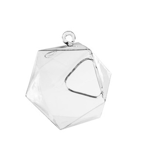 GET8007 - Terrario Geométrico Sin Marco D20 - 4 H (6 piezas) - Product Image 1