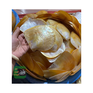 BANDEJA DE CONCHA NATURAL DE LUJO CON CALIDAD PREMIUM Y PRECIO BARATO PARA JUEGOS DE REGALO COLECCIONES DE JOYERÍA O DECORACIÓN - Product Image 3