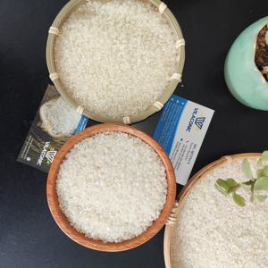 SUSHI <b>RICE</b> - HIGH QUALITY in VIETNAMESE <b>RICE</b> JAPONICA ROUND <b>RICE</b> NEW CROP INTERSPRING 2024 (WA: +84 858080598) - Product Image 4