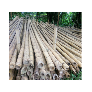 Poteaux de bambou du Vietnam 1-6m bon prix bâton de soutien en gros pour les plantes et l'agriculture - Product Image 1