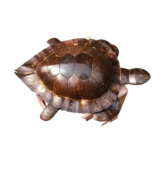 Unique Design Coconut Shell Animal Is Used With Many Different Uses In Life Made In Vietnam 99GD