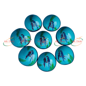 Natural <b>Coconut</b> <b>Bowl</b> For Interior Decoration Handmade Sustainable Craft Direct From Vietnam Factory Premium Gift Export - Product Image 1