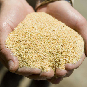Farine de poisson naturelle en vrac pour l'alimentation animale – Fournisseur pour l'aquaculture (poissons, crevettes), la volaille, le bétail et la nutrition animale - Product Image 1