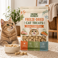 Sachet à fond carré en BOPP refermable imprimé sur mesure pour friandises lyophilisées pour chats, emballage d'aliments pour animaux de compagnie 70g