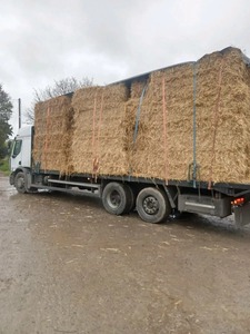 Se vende heno y paja - Product Image 6