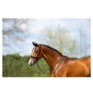 Brida para Caballo de Cuero Resistente 2026 con Diseño de Silla Inglesa, Perfecta para Montar al Aire Libre, Exhibiciones y Personalizable - Product Image 5