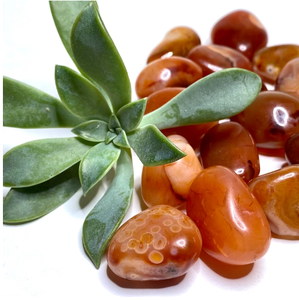 Vente chaude Pierre de paume en agate brute rouge naturelle polie à la main Cristaux de quartz Pierres roulées de guérison - Product Image 2