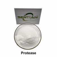 Poudre d'enzyme subtilisine de qualité alimentaire 200 000 U/g pour la hydrolyse des protéines