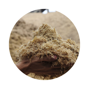 CANNE À SUCRE BLANCHE CRUE POUR ENGRAIS/INGRÉDIENT ALIMENTAIRE POUR ANIMAUX À PARTIR DE LA CANNE À SUCRE ENSILAGE DU VIETNAM À PRIX CONCURRENTIEL - Product Image 1