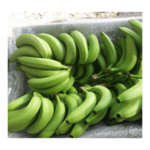 Qualité supérieure-Banane verte à vendre-Bananes fraîches naturelles Nouvelle récolte-Exportation de fruits frais dans le monde entier depuis le Vietnam - Product Image 4