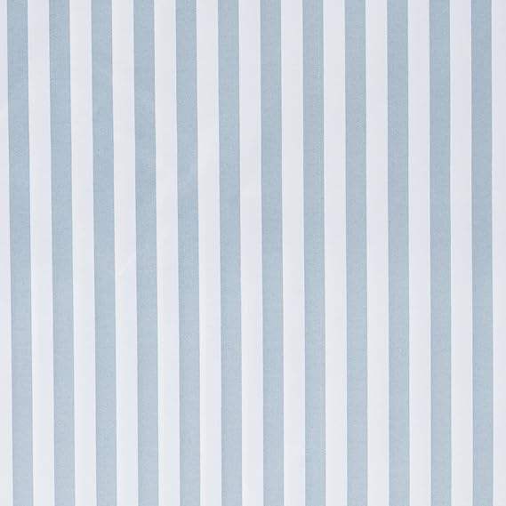 ลายทางสีฟ้าฝุ่น