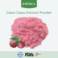 Poudre d'extrait de fruit de Camu Camu 100% pure, qualité alimentaire supérieure, vitamine C, superaliment antioxydant, approvisionnement en vrac
