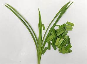 FEUILLES DE PANDANES SÉCHÉES POUR BOOST IMMUNITAIRE ARÔME NATUREL ÉTIQUETTE PROPRE ET SUPPORT NUTRITIF À BASE DE PLANTES - Product Image 4