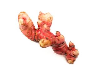 โรงงานเวียดนามจัดหาโดยตรงผลไม้ใหม่ราก Galangal สดทั้งราก Galangal - Product Image 6