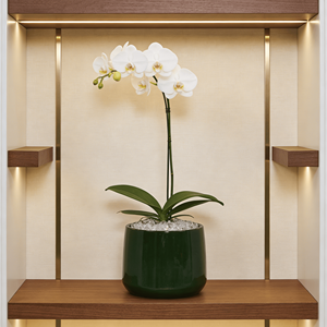 Juego de Macetas de Cerámica Verde Antiguo Mdj, 4 Piezas, Redondas, para Jardín Interior y Exterior, Estilo Americano, Diseño Moderno - Product Image 4