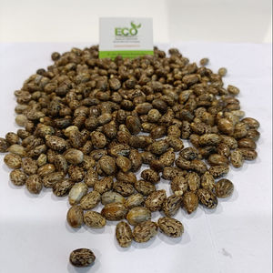 Biji jarak - Product Image 1