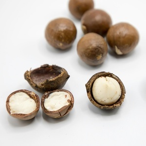 Fresh raw <strong>macadamia</strong> nuts in food grade bags ideal for supply to bakeries food services and supermarkets