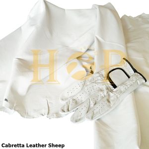 2025 Meilleures ventes Gants de golf en cuir Cabretta Meilleur design Gant de golf en cuir Cabretta personnalisé Fabricant et fournisseur - Product Image 5