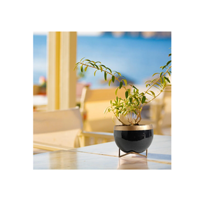 Precio de fábrica Maceta de metal con soporte Maceta de interior Soporte decorativo moderno para flores y plantas por fabricante personalizable - Product Image 1