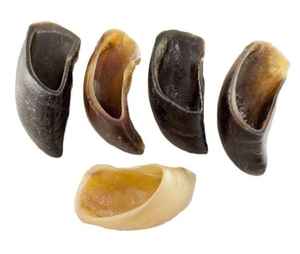 CASQUILLOS BÚFALO - Product Image 3