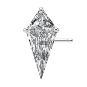 GIA ได้รับการรับรอง5.0กะรัต Def VVS VS ห้องแล็บว่าวเพชรที่ปลูก925ทองชั้นดีเงินสเตอร์ลิงต่างหูชุบเงินเป็นของขวัญสำหรับเขา - Product Image 1