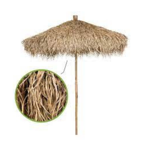 LES FOURNISSEURS VIETNAMIENS EXPORTENT UNE QUANTITÉ SIGNIFICATIVE DE PARAPLUIE DE MER - Product Image 4