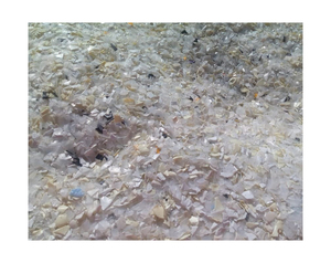 Plástico Reciclado HDPE, Residuos de Botellas Blancas, Residuos de Botellas de Leche HDPE, Hojuelas de HDPE, Reciclaje de Botellas de Leche Blancas - Product Image 6