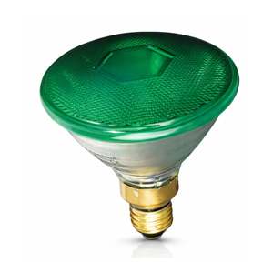 80W PAR 38 VERDE Garden Lights 230V E27 Product Category - Product Image 1