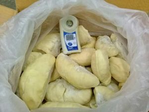 ราคาดีที่สุดทุเรียนจากเวียดนาม Brix > 30 ทุเรียนทั้งตัว ไม่มีสารกันบูด - Product Image 2