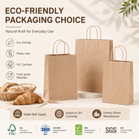 Sac en papier compostable à poignée torsadée, sans plastique, en kraft, pour le commerce de détail bio, la boulangerie, l'emballage alimentaire, la vente en gros, en vrac, OEM