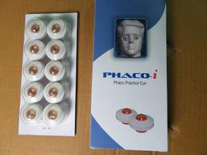 SS Manufacture PHACO I ( Phaco Practice Eye ) - Product Image 4