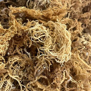 สินค้ายอดนิยม 2024 | ขายส่งมอสทะเลจํานวนมากในปริมาณมากจากเวียดนาม - Product Image 1