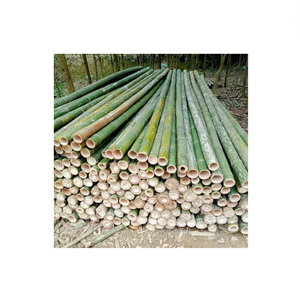 Estaca de bambú natural Estaca de jardín Soporte para plantas Partidario de bambú agrícola y de jardín ecológico natural - Product Image 1