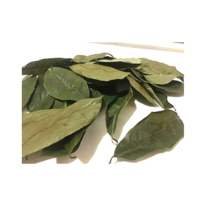 Bolsitas de Té de Guanábana 100% Premium, Naturales, Sin OMG, Hojas de Guanábana Secas Verificadas, Venta al por Mayor de Vietnam, Té de Hoja de Graviola - Product Image 3