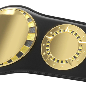 เข็มขัดแชมป์แบบกำหนดเอง แผ่นโลหะสีทองทรงกลม สำหรับมวย MMA มวยปล้ำ - Product Image 5