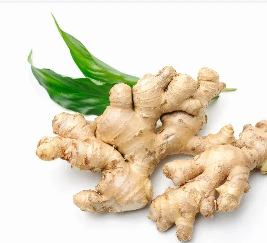 2024 guter qualität getrocknet bulk frisch ingwer marktpreis pro tonne großhandel ingwer käufer kaufen getrocknet ginger export aus der eu