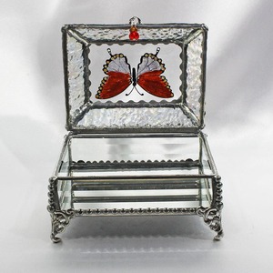 Joyero de Metal Elegante con Tapa Transparente, Organizador para Mujeres, Almacenamiento Diario de Joyas - Product Image 2