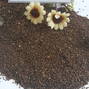 หัวหมุดแตก1.5มม. 2.0มม. 2.5มม. พริกไทยดำพริกไทยขาวพริกไทยดำจากโรงงานเวียดนามเพื่อใช้ปรุงรส - Product Image 3