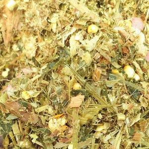 อาหารสัตว์เพื่อสุขภาพ ข้าวโพดหมักคุณภาพสูง อาหารสัตว์สีเขียว ข้าวโพดหมักสำหรับสัตว์นม สั่งซื้อข้าวโพดหมักจำนวนมาก - Product Image 5